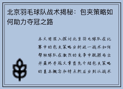 北京羽毛球队战术揭秘：包夹策略如何助力夺冠之路
